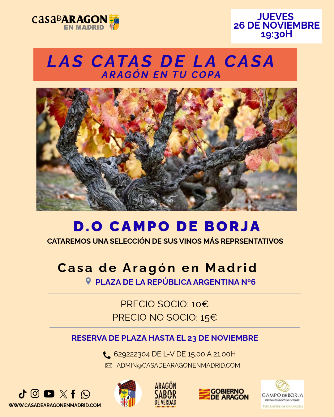 Cata vino